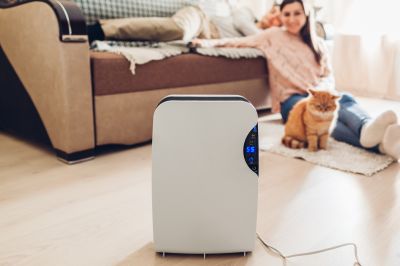 Dehumidifier Installation in Kansas City, MO