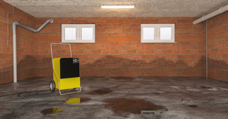 Basement Dehumidifier Service in Cincinnati, OH